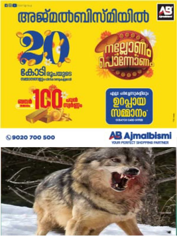 WhatsApp Image 2024-09-20 at 12.05.32 PM
