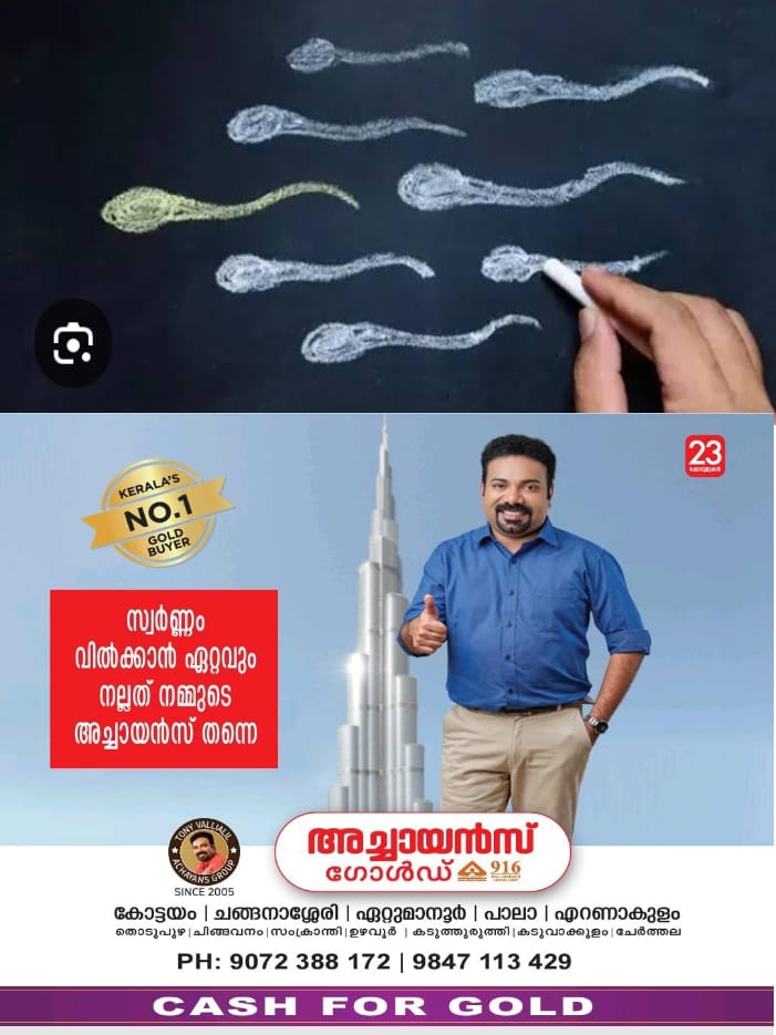 WhatsApp Image 2024-09-25 at 4.17.14 PM