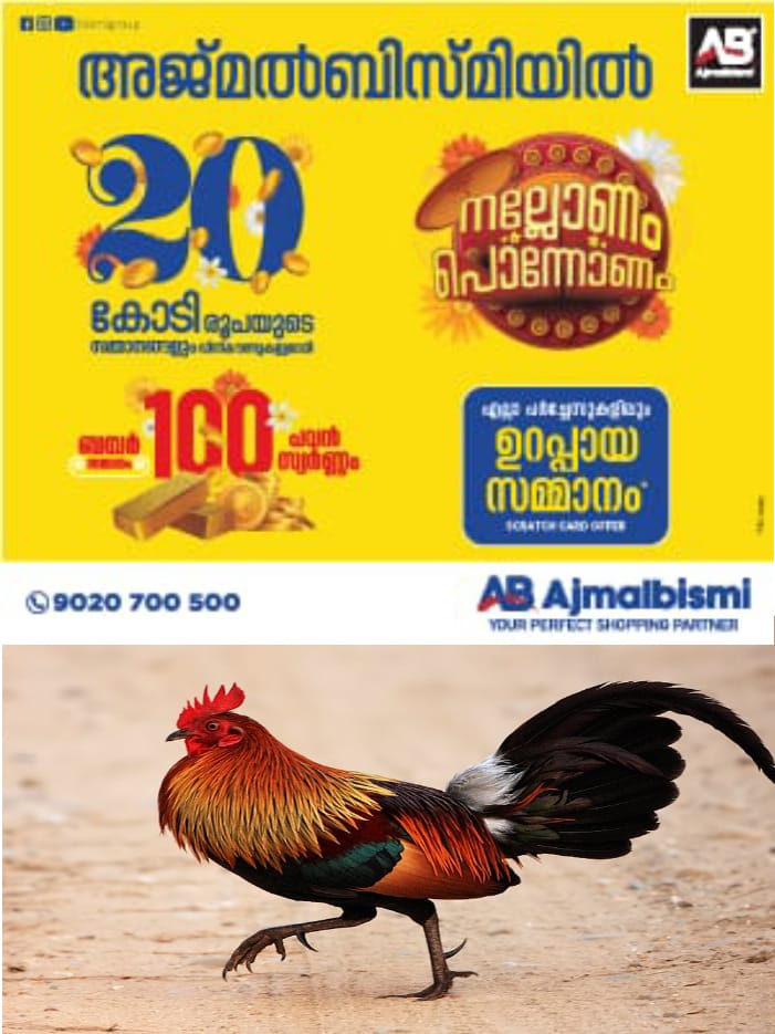 WhatsApp Image 2024-09-25 at 5.33.09 PM