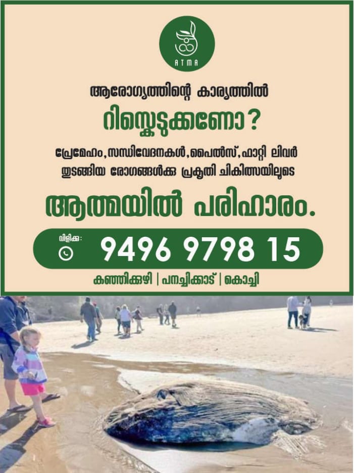 WhatsApp Image 2024-09-26 at 10.37.45 AM