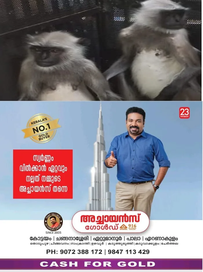 WhatsApp Image 2024-09-30 at 12.43.07 PM