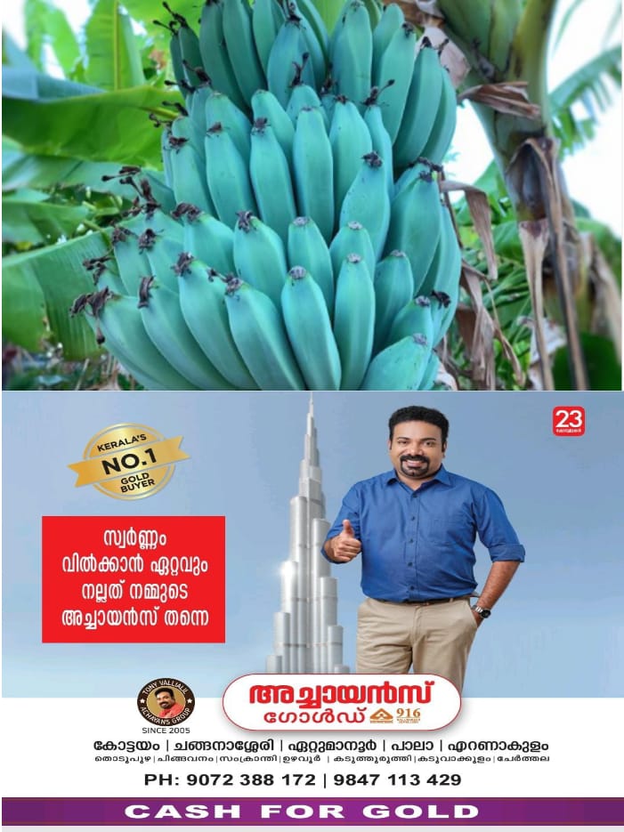 WhatsApp Image 2024-10-01 at 1.31.04 PM