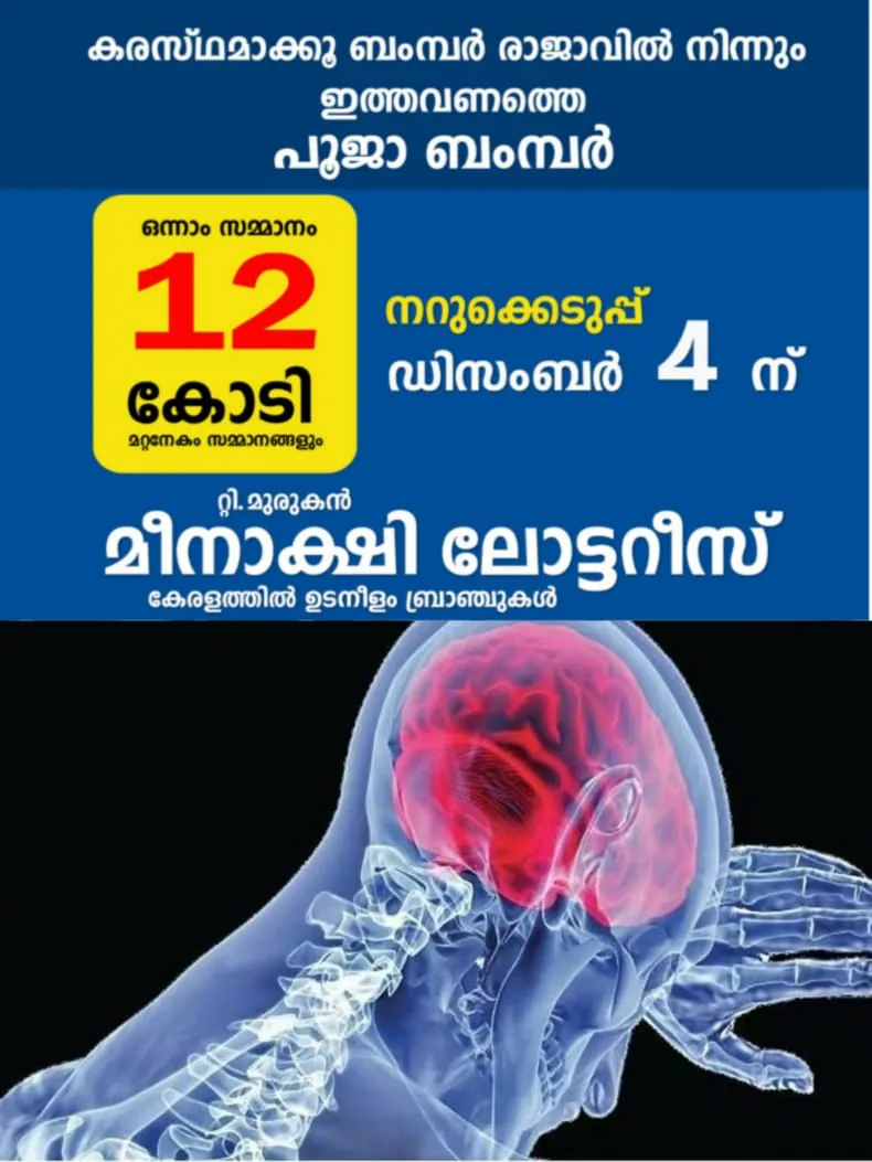 WhatsApp Image 2024-10-20 at 09.04.39