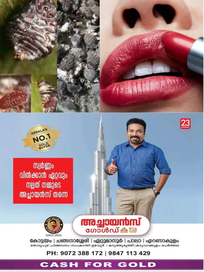 WhatsApp Image 2024-10-26 at 2.50.26 PM
