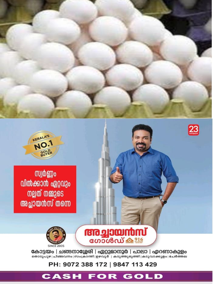 WhatsApp Image 2024-10-30 at 5.50.41 PM
