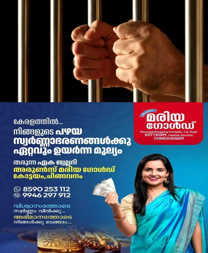 WhatsApp Image 2024-11-01 at 8.21.37 AM