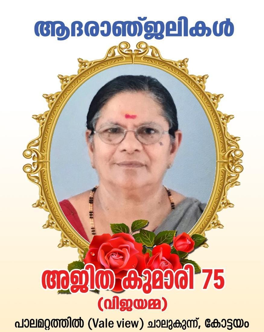 WhatsApp Image 2024-11-09 at 10.23.45 AM