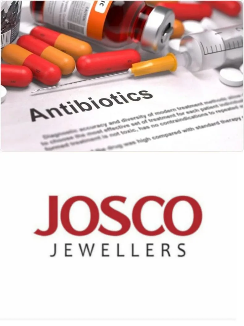 WhatsApp Image 2024-11-20 at 18.46.54