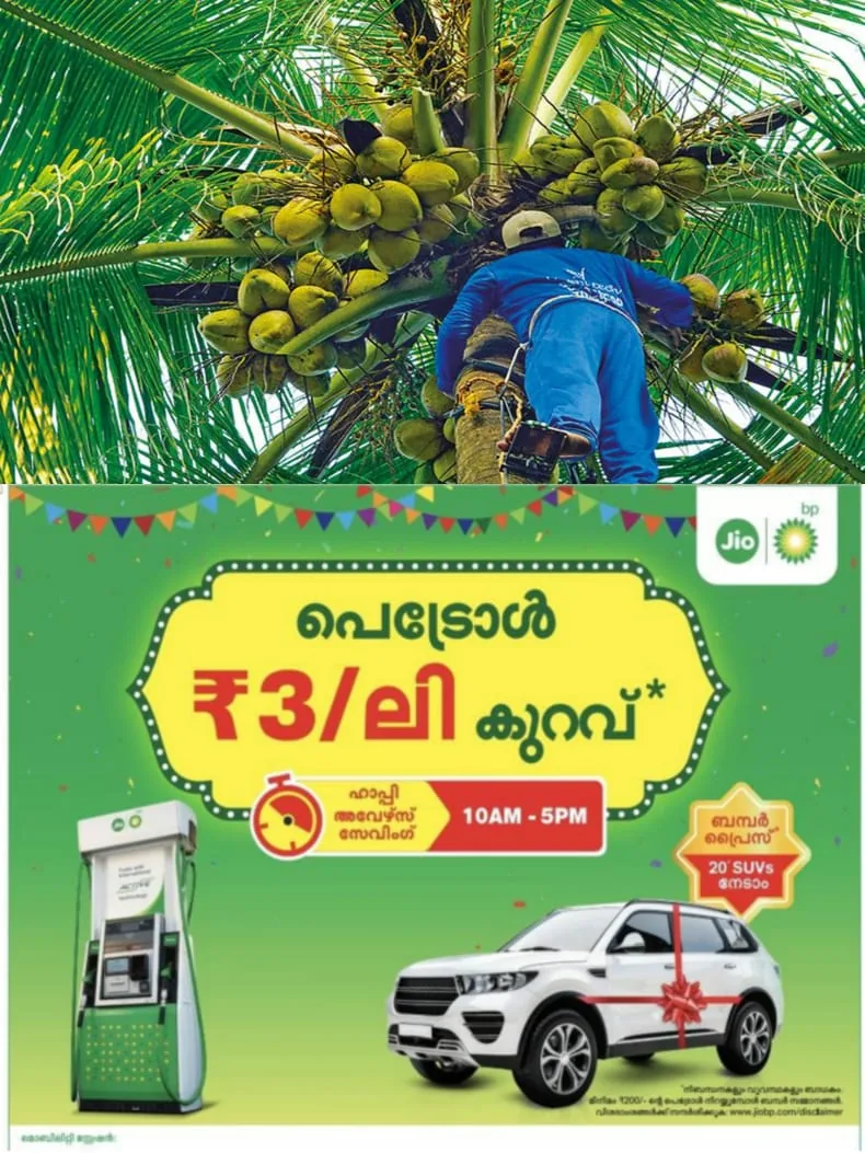 WhatsApp Image 2024-12-04 at 20.16.18