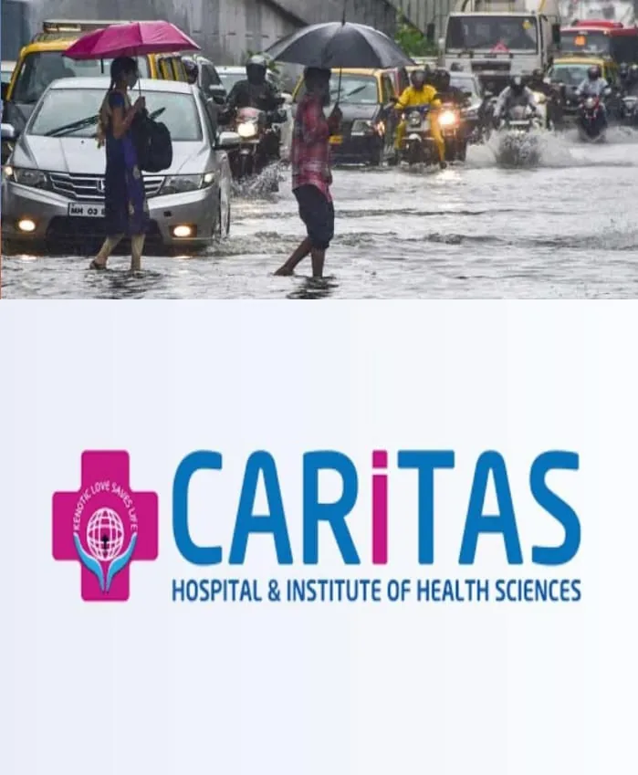 WhatsApp Image 2024-12-04 at 6.46.17 AM