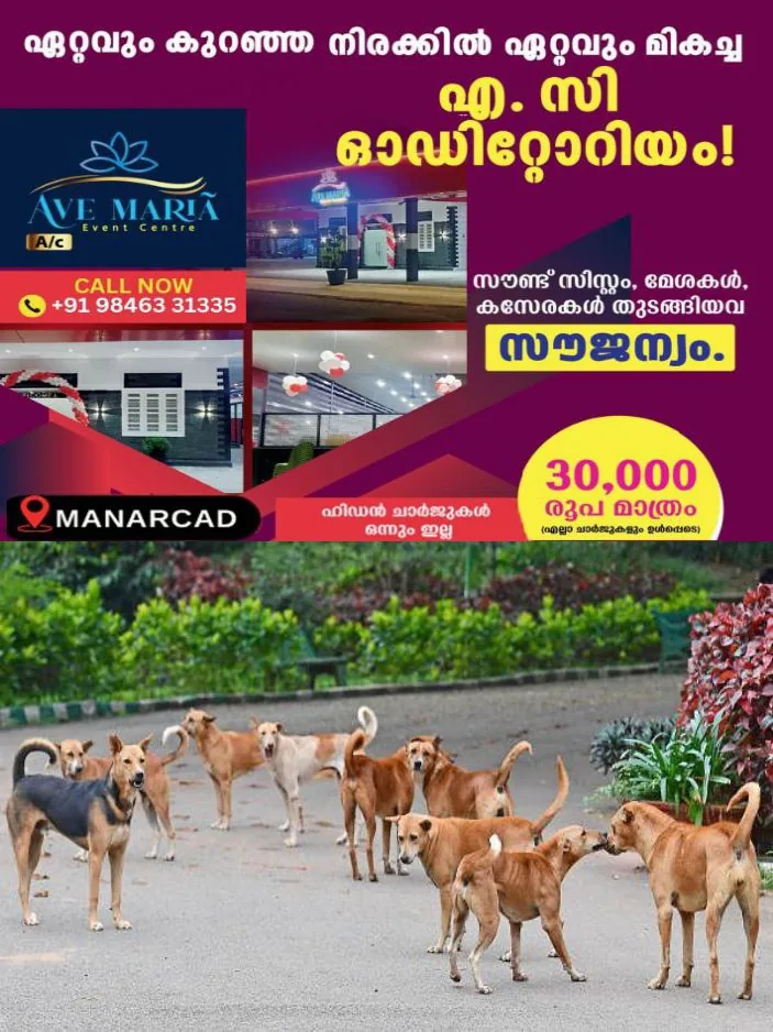 IMG_20250108_180516_365