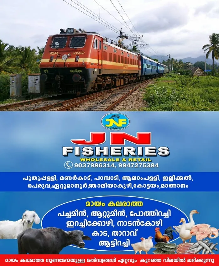 WhatsApp Image 2025-01-08 at 19.41.05