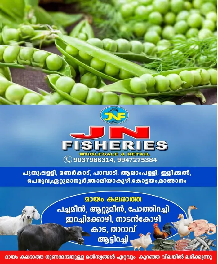 WhatsApp Image 2025-01-10 at 3.34.31 PM