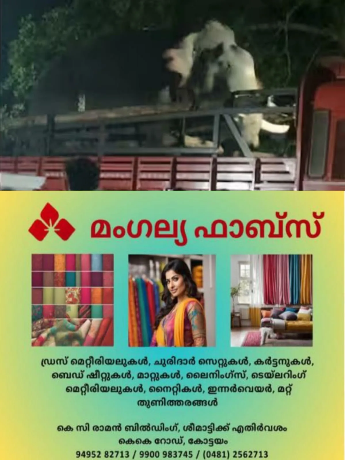 WhatsApp Image 2025-01-27 at 23.08.29