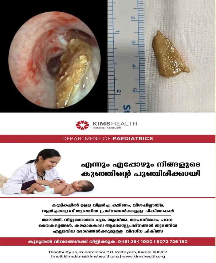 WhatsApp Image 2025-01-28 at 1.29.49 PM