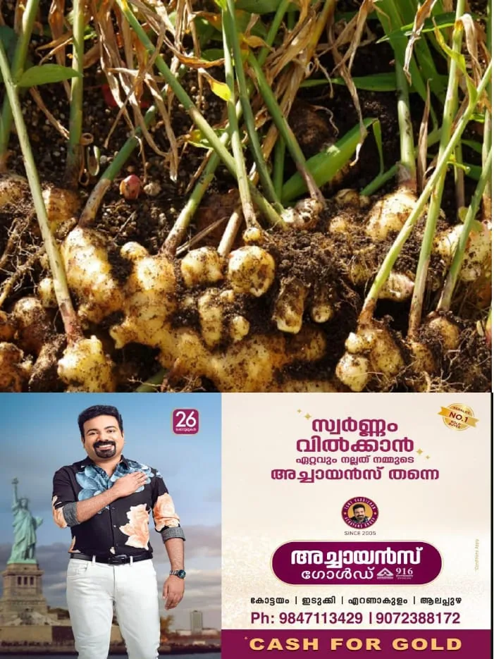 WhatsApp Image 2025-01-28 at 11.12.48 AM