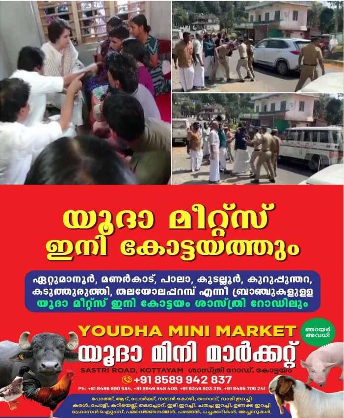 WhatsApp Image 2025-01-28 at 2.44.38 PM