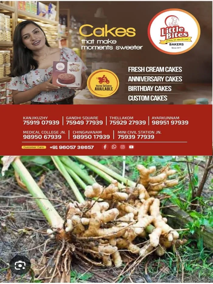 WhatsApp Image 2025-01-29 at 5.13.20 PM