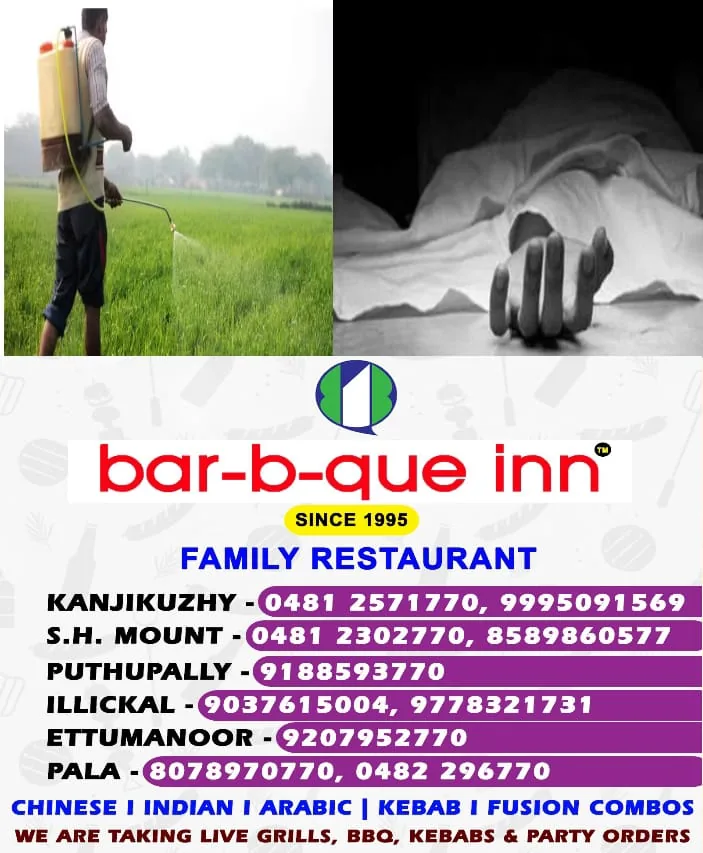 WhatsApp Image 2025-02-01 at 10.36.45 AM