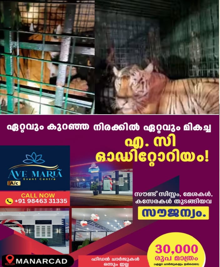 WhatsApp Image 2025-02-01 at 9.49.01 AM