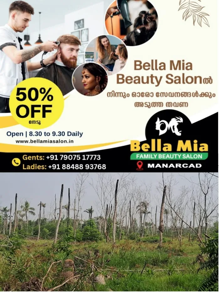 WhatsApp Image 2025-02-09 at 12.49.26 PM