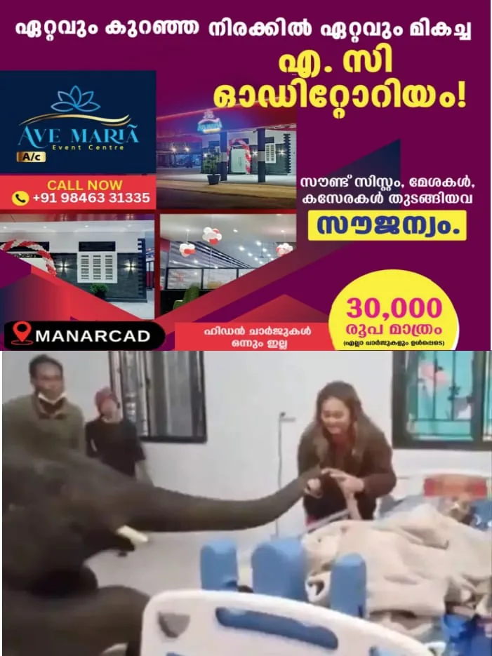 WhatsApp Image 2025-02-09 at 4.10.17 PM