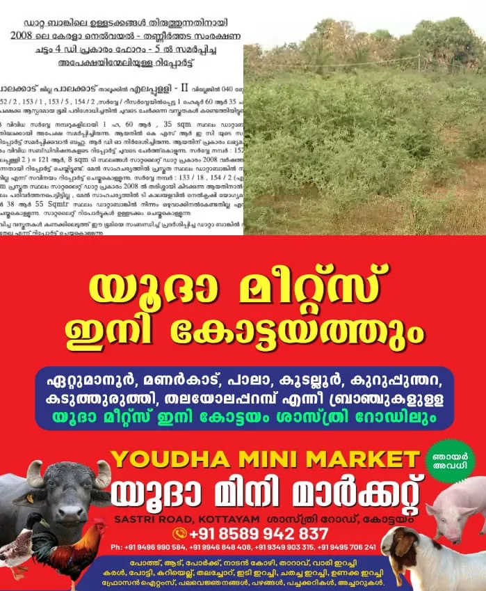 WhatsApp Image 2025-02-09 at 9.03.47 AM