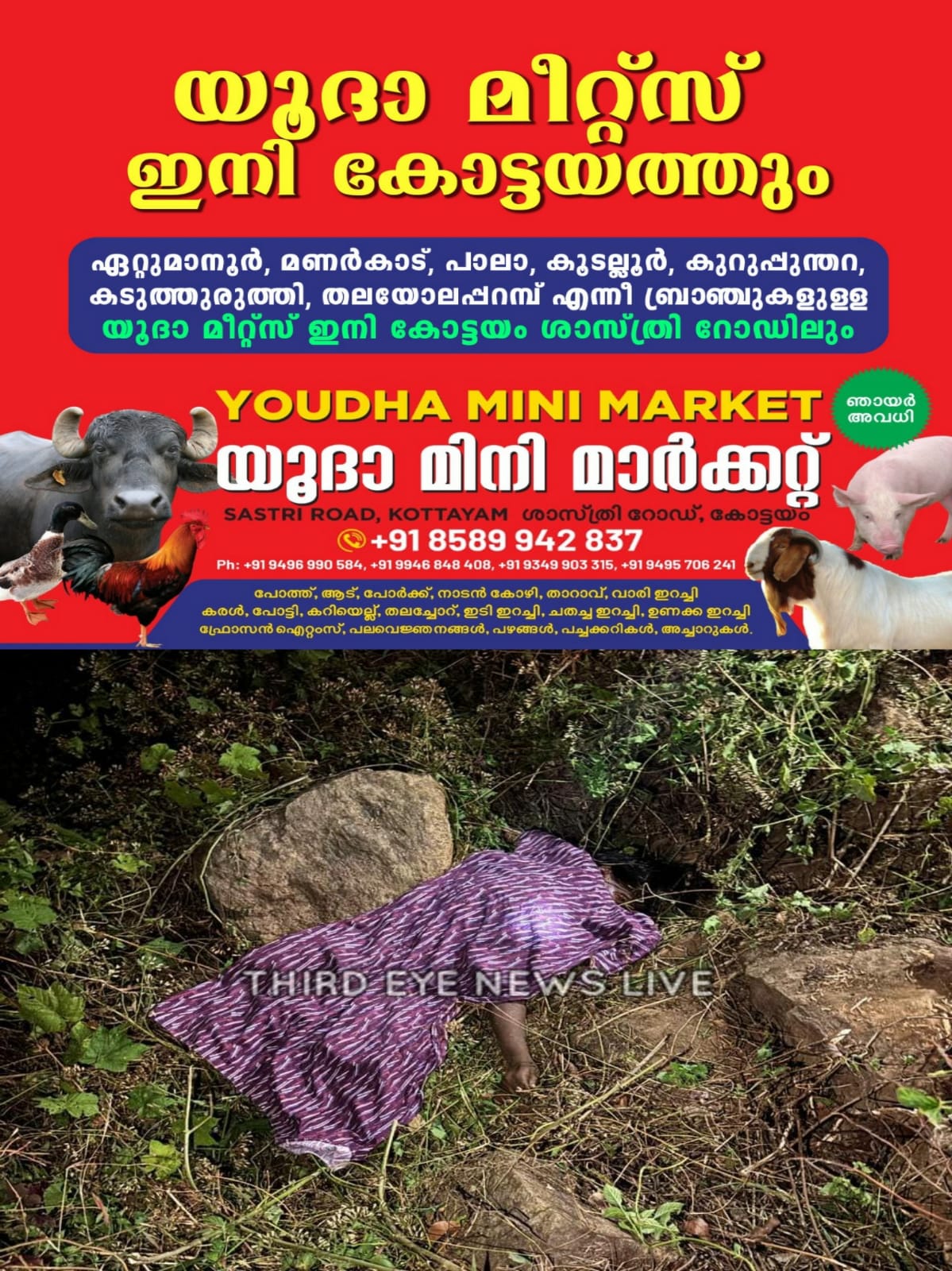 WhatsApp Image 2025-02-10 at 21.35.25