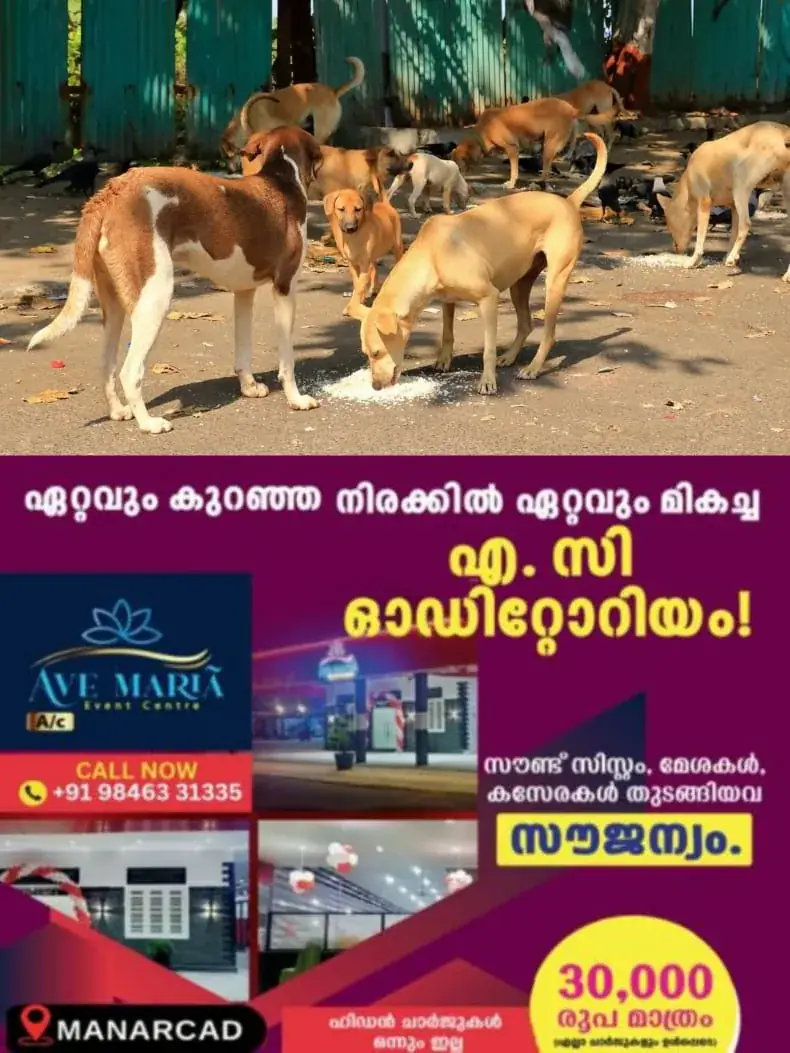 WhatsApp Image 2025-02-14 at 22.57.06