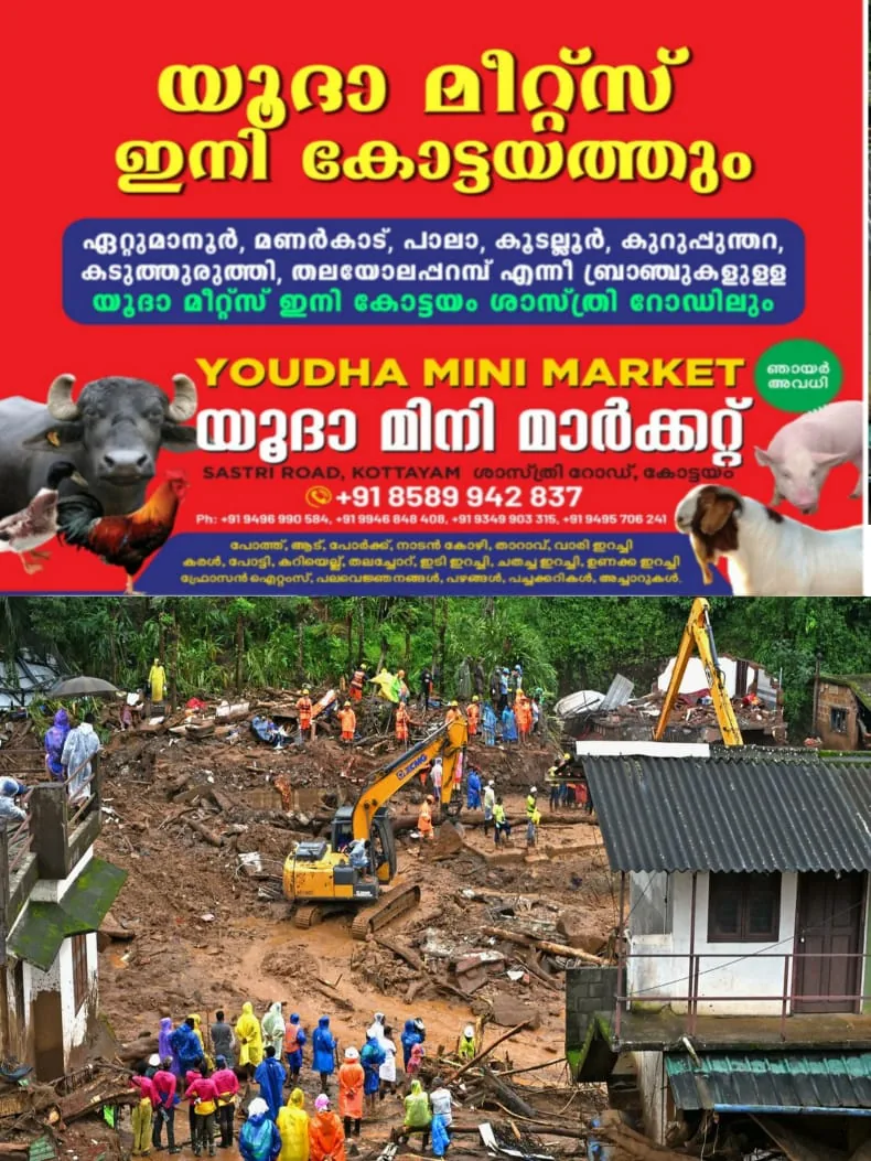 WhatsApp Image 2025-02-19 at 18.34.56