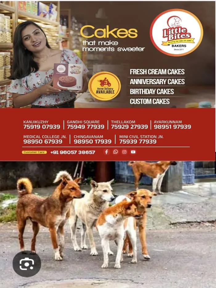 WhatsApp Image 2025-02-19 at 4.49.09 PM