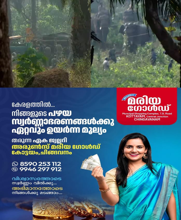 WhatsApp Image 2025-02-19 at 9.21.21 AM