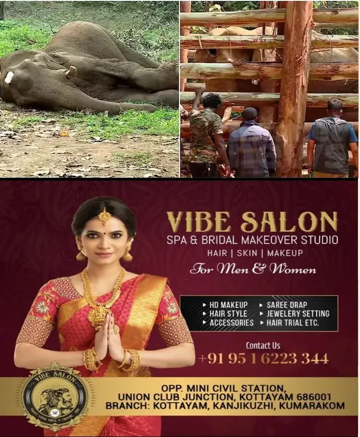 WhatsApp Image 2025-02-22 at 10.33.55 AM