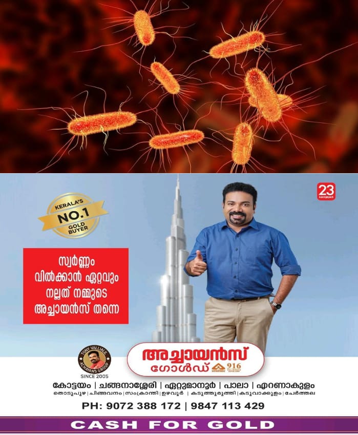 WhatsApp Image 2025-02-22 at 8.19.05 PM