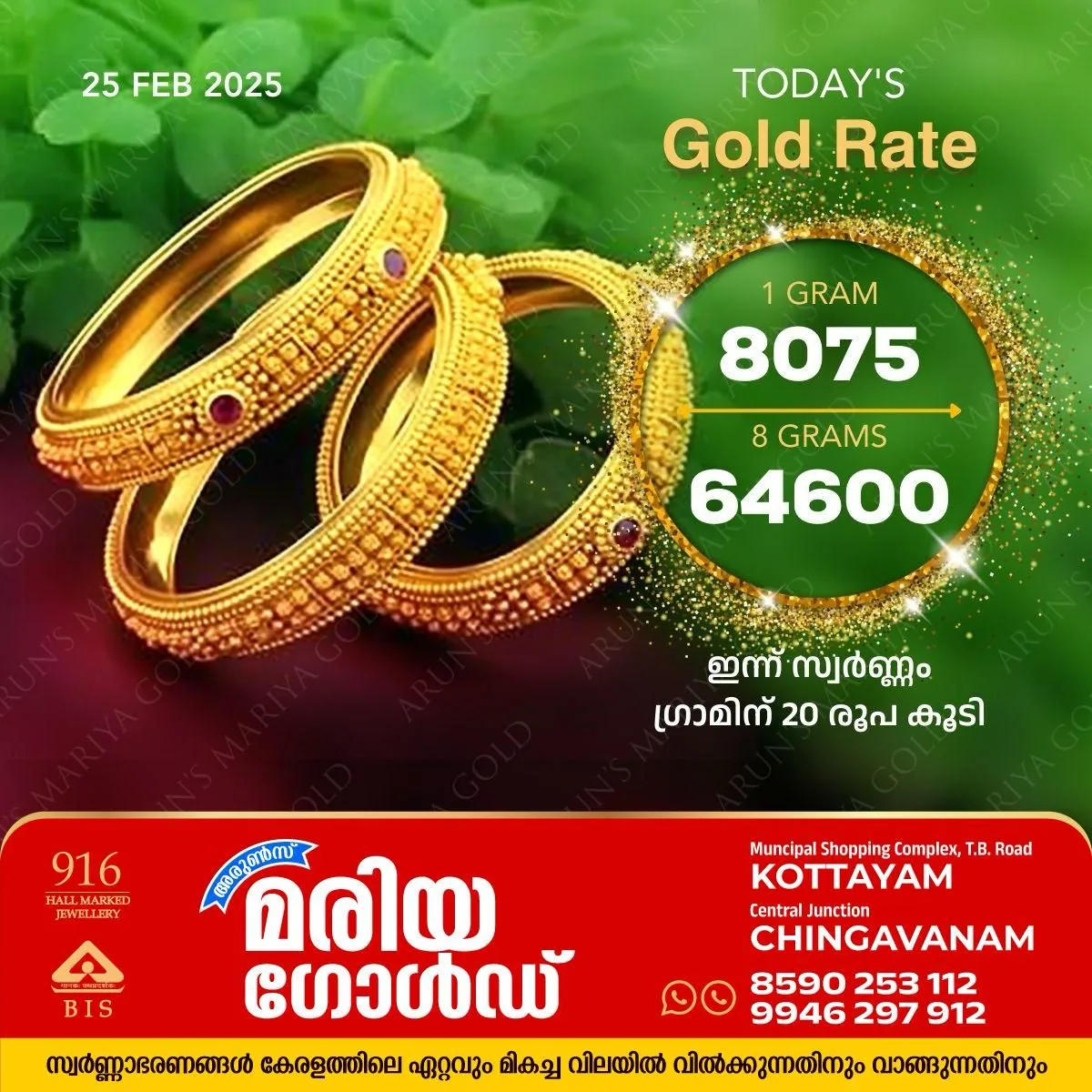 WhatsApp Image 2025-02-25 at 12.03.51 PM