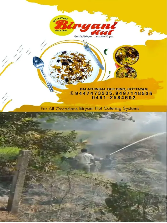 WhatsApp Image 2025-02-28 at 2.42.52 PM