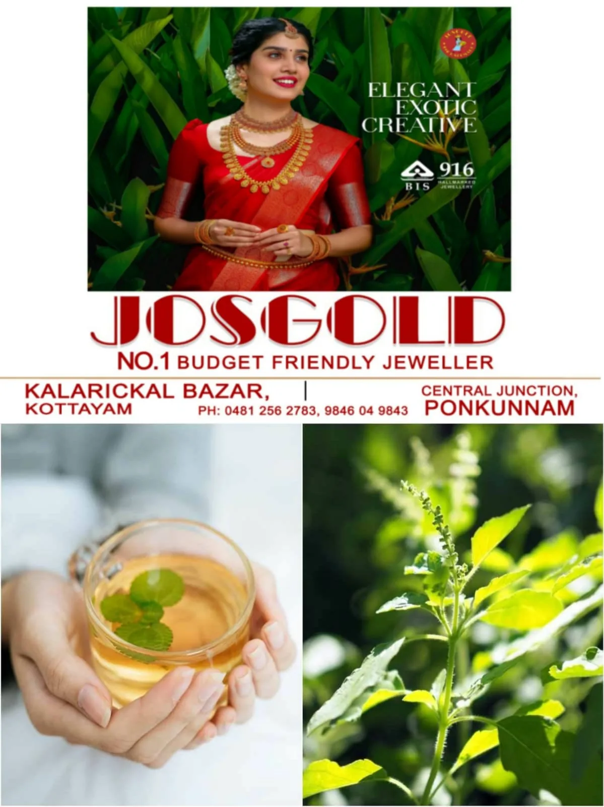 WhatsApp Image 2025-03-02 at 09.17.29