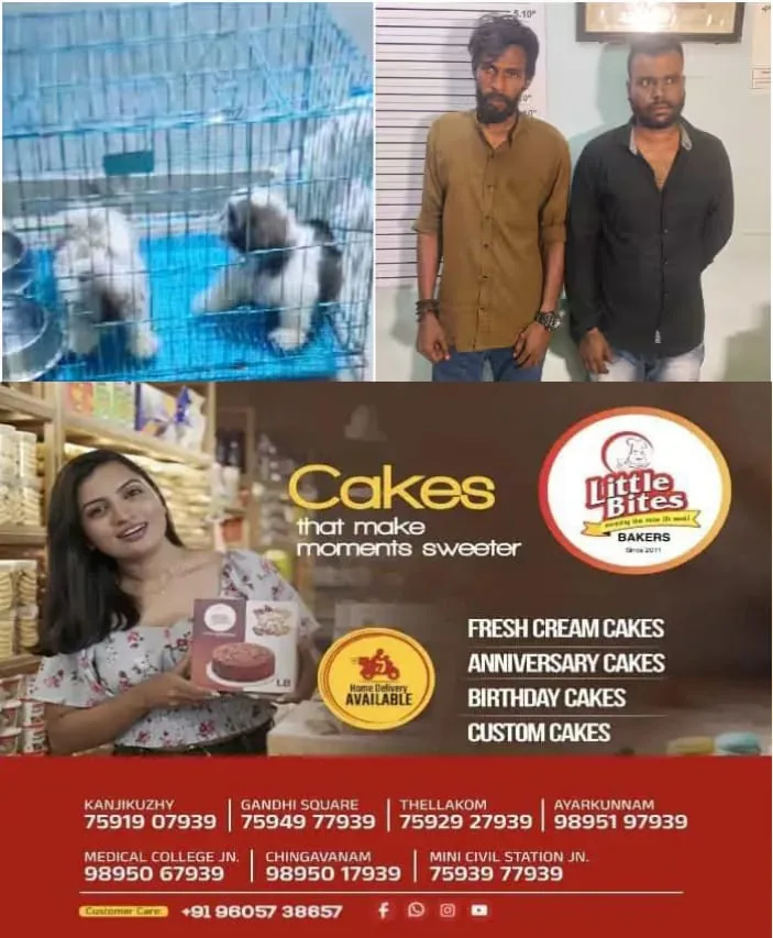 WhatsApp Image 2025-03-02 at 1.56.32 PM