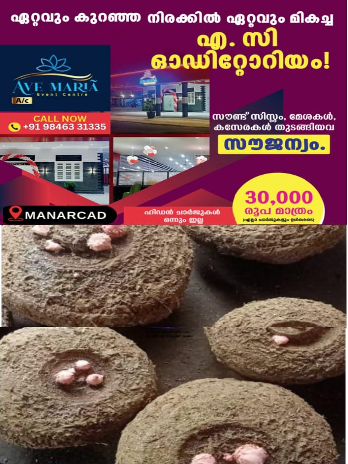 WhatsApp Image 2025-03-06 at 11.45.02 AM