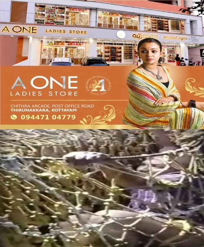 WhatsApp Image 2025-03-10 at 3.30.05 PM