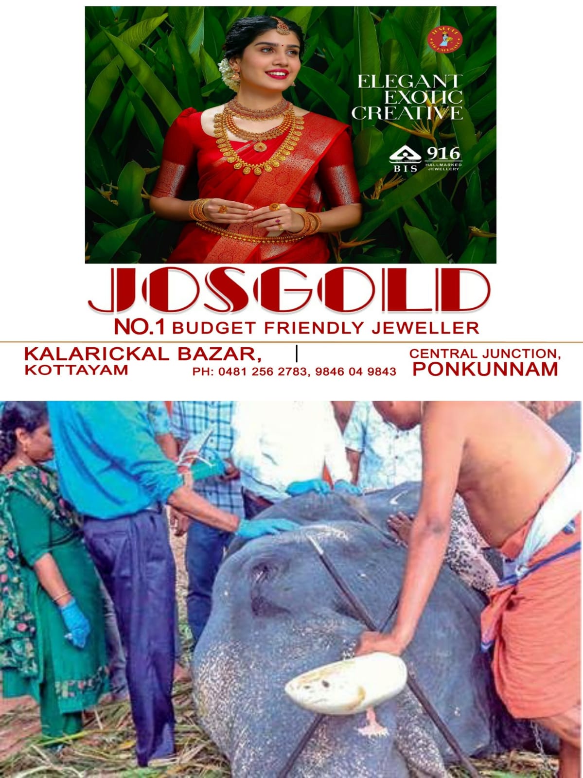 WhatsApp Image 2025-03-14 at 05.47.33