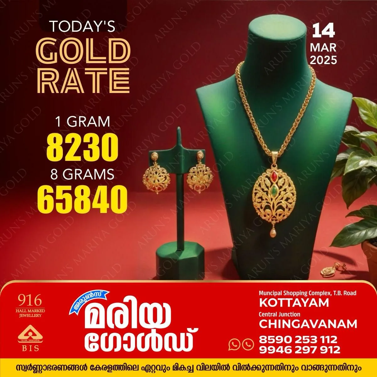 WhatsApp Image 2025-03-14 at 11.32.47 AM