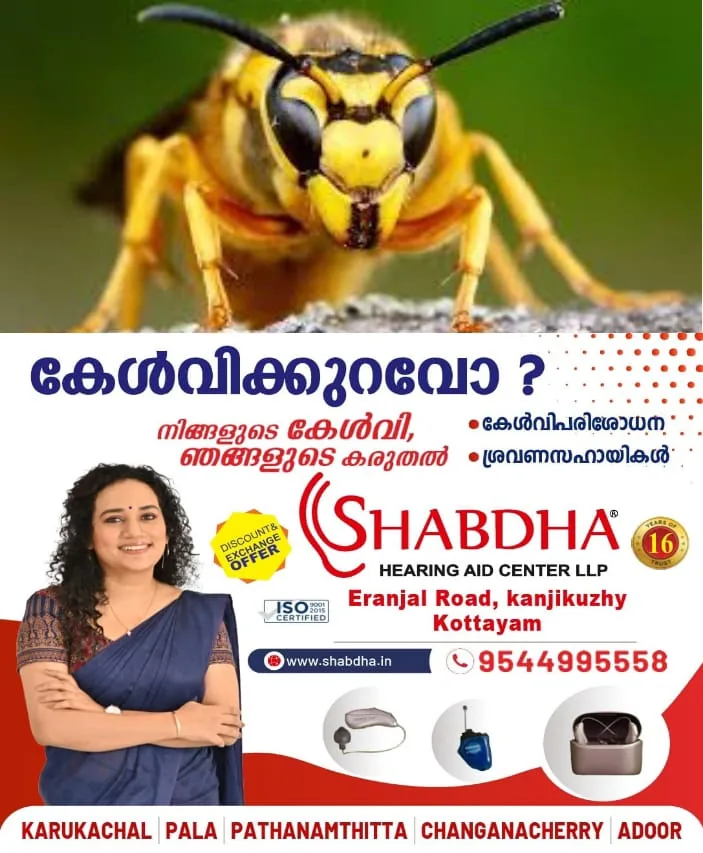 WhatsApp Image 2025-03-19 at 4.50.06 PM