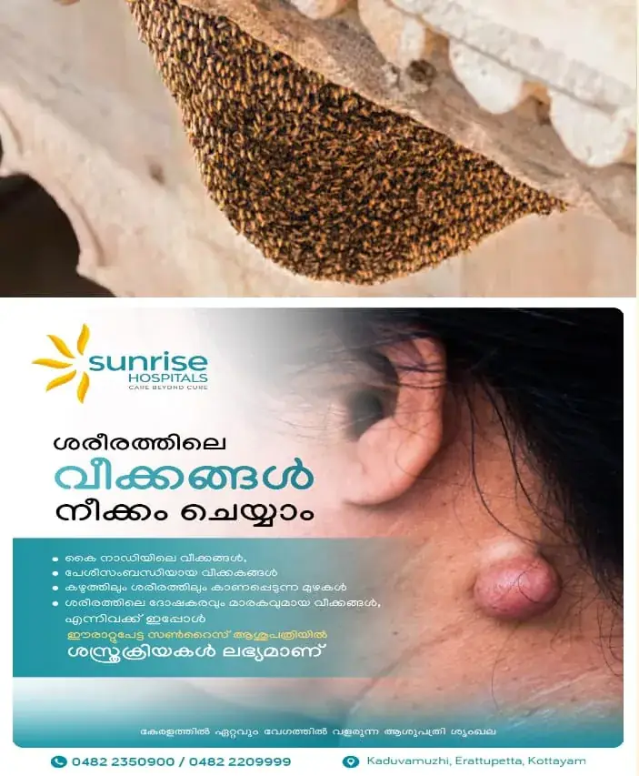 WhatsApp Image 2025-03-24 at 12.01.08 PM