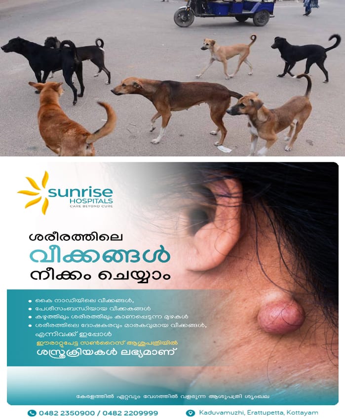 WhatsApp Image 2025-03-27 at 11.24.47 AM
