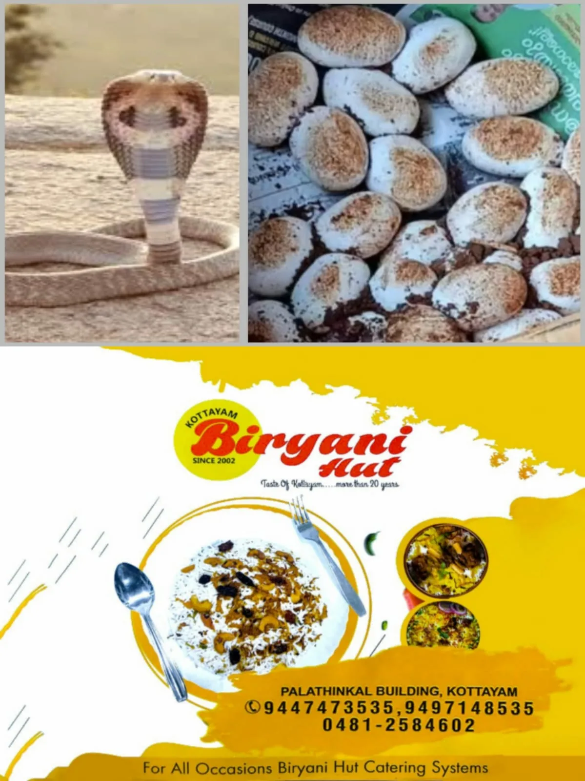 WhatsApp Image 2025-03-30 at 22.25.04