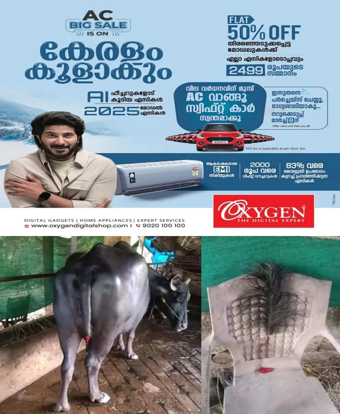 WhatsApp Image 2025-04-01 at 12.07.28 PM