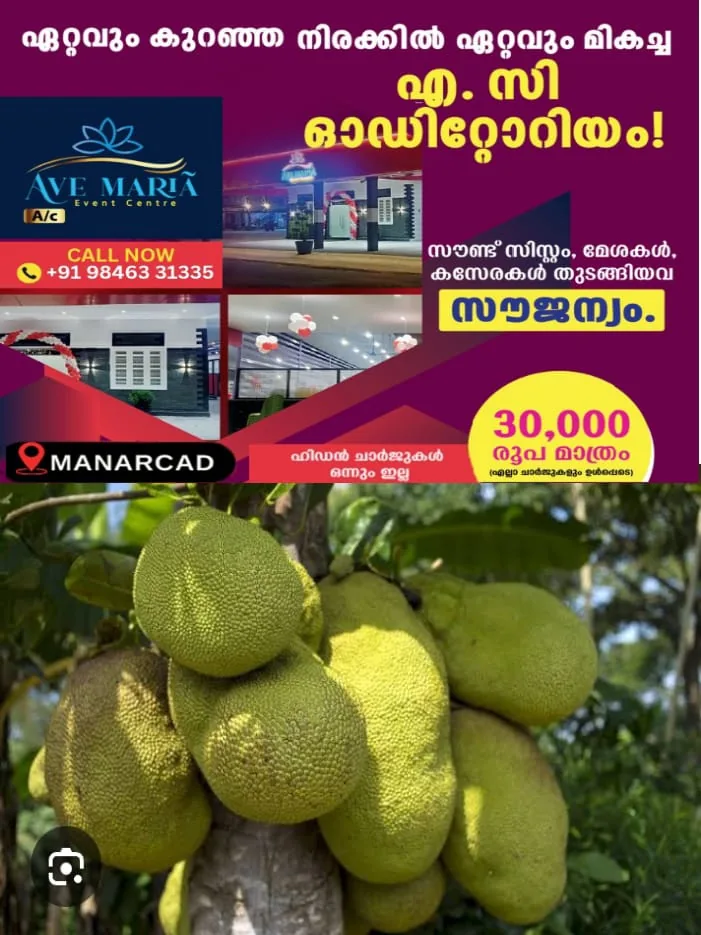 WhatsApp Image 2025-04-08 at 3.22.53 PM