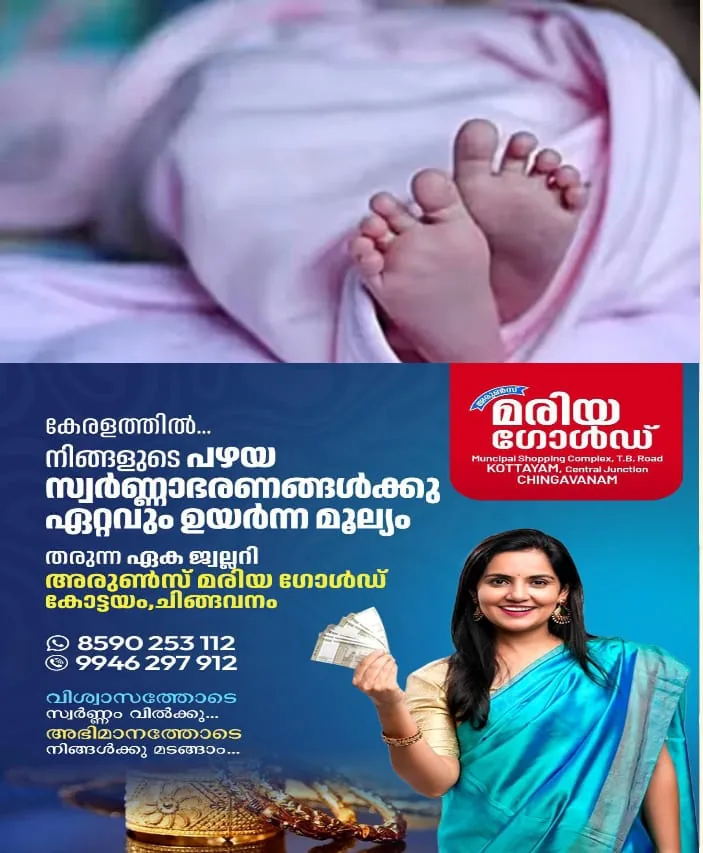 WhatsApp Image 2025-04-11 at 5.13.39 PM