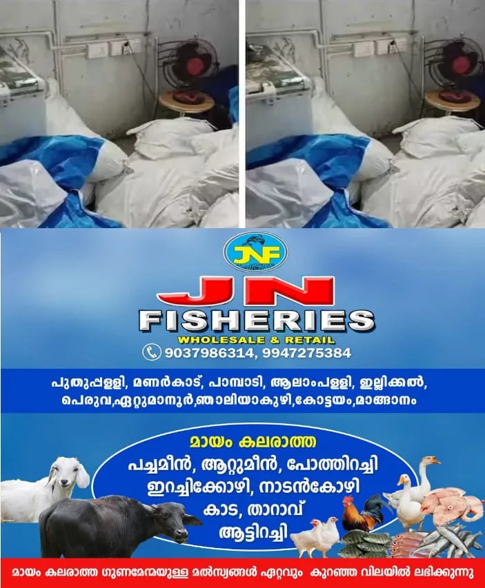 WhatsApp Image 2025-04-12 at 9.17.13 AM